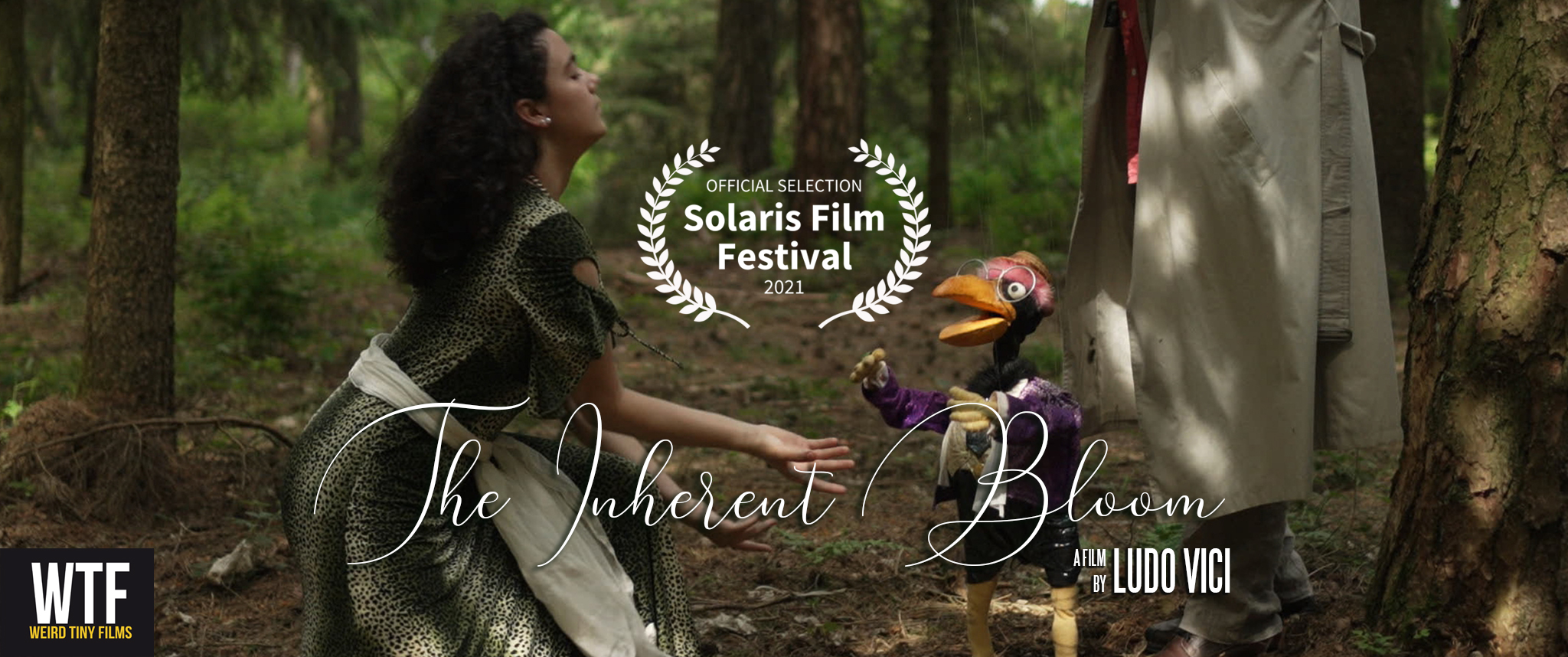 indie filmchart-winner